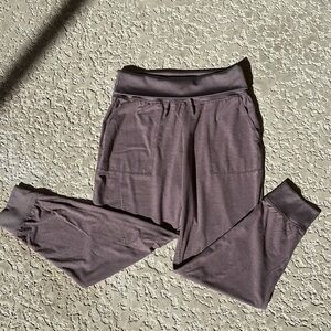 Gap Gapfit Brushed Tech Jersey women’s joggers. Size small. Light purple color